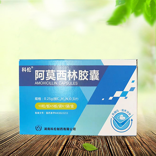 科倫 阿莫西林膠囊
