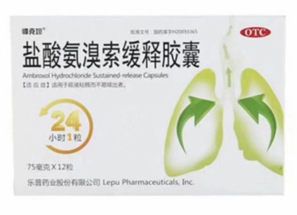 鹽酸氨澳索緩釋膠囊