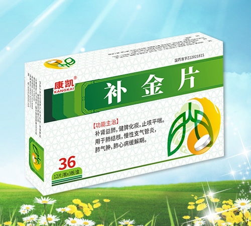 補金片