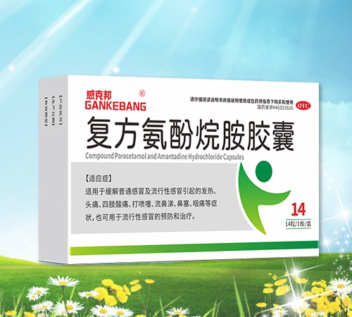 復(fù)方氨酚烷胺膠囊
