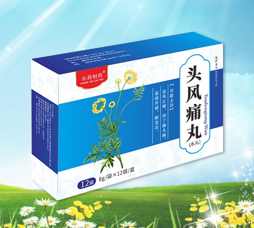 頭風痛丸