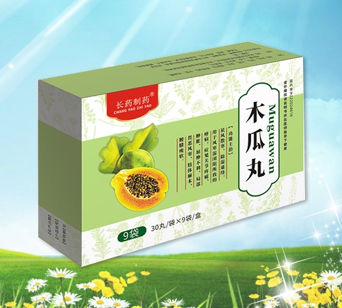 木瓜丸