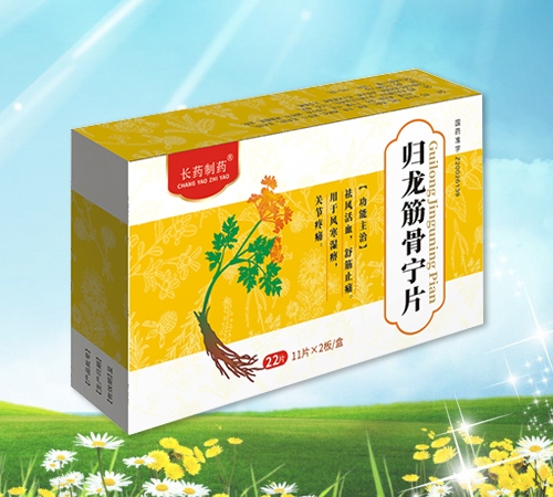 歸龍筋骨寧片