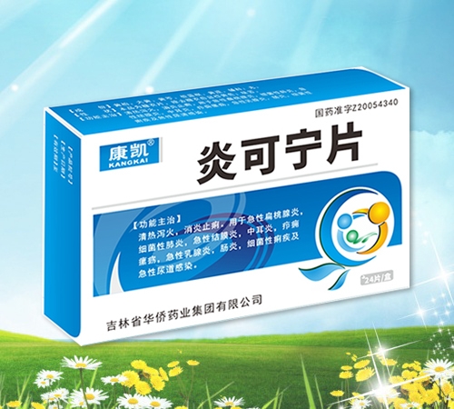 炎可寧片