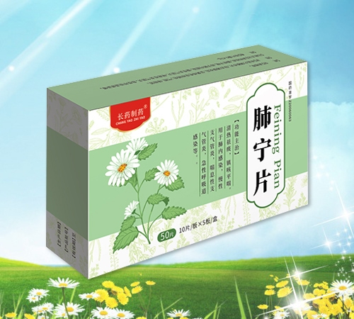 肺寧片