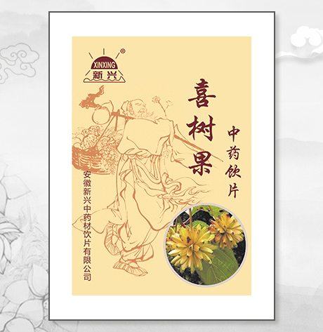 喜樹(shù)果