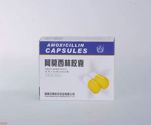 點(diǎn)擊查看