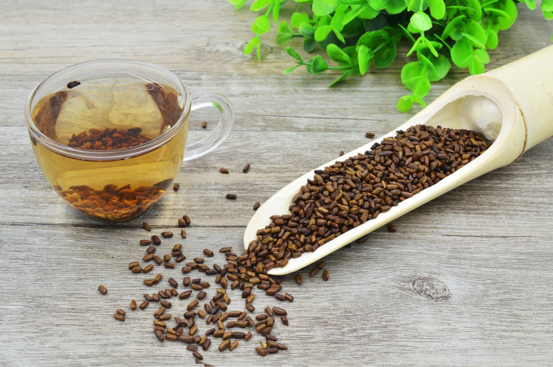 決明子茶