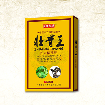 壯骨王骨康保健貼