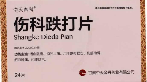 傷科跌打片