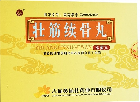 壯筋續(xù)骨丸