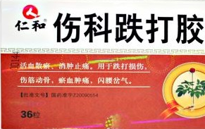 傷科跌打丸