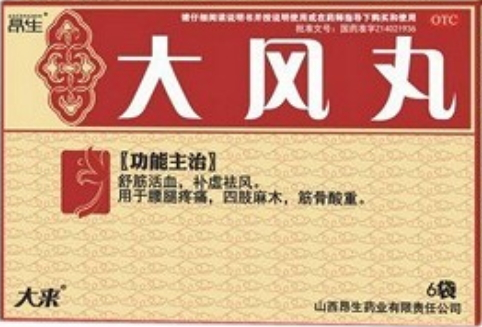 大風(fēng)丸