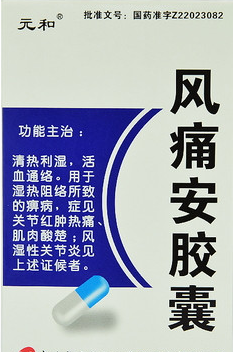 風(fēng)痛安膠囊