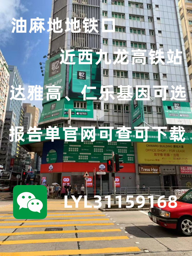 香港查血中介信得過嗎？
