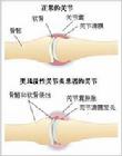 烏雞白鳳丸不是女性的萬能藥